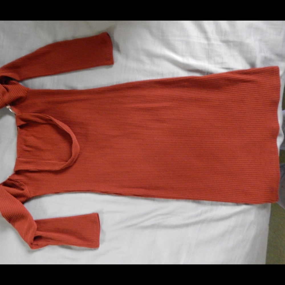 Forever 21 Bodycon Dress